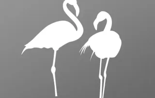 tôle flamand rose pour portail en aluminium